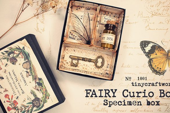 Fairy Curiosity Box