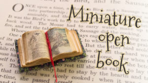Miniature open book