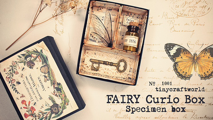 Fairy Curiosity Box